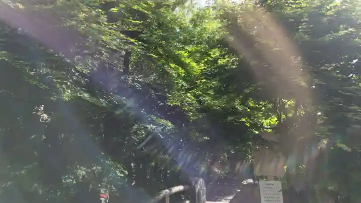 晴明神社(京都府)