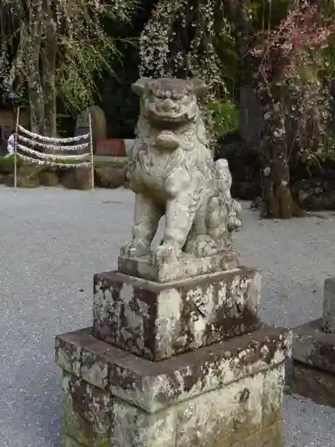 伊豆山神社の狛犬