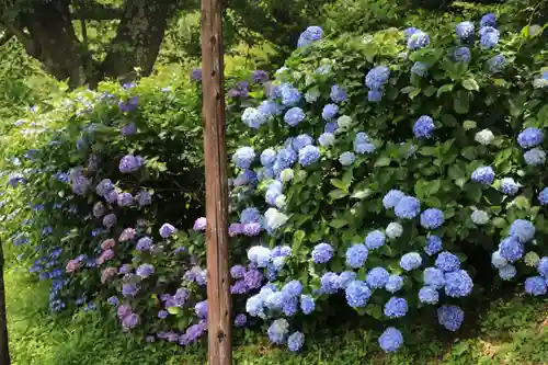 高屋敷稲荷神社の庭園