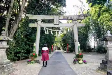 白山媛神社(上条白山媛神社)の{uncategorized: "未分類", other: "その他", undefined: "問題あり", building: "その他建物", grave: "お墓", sacred_gate: "鳥居", guardian: "狛犬", statue: "像", buddha: "仏像", history: "歴史", nature: "自然", garden: "庭園", animal: "動物", pagoda: "塔", temizu: "手水舎", mountain_gate: "山門・神門", sanctuary: "本殿・本堂", subordinate: "末社・摂社", art: "芸術", scenery: "景色", jizo: "地蔵", ema: "絵馬", goshuin: "御朱印", omikuji: "おみくじ", items: "授与品その他", amulet: "お守り", goshuincho: "御朱印帳", eats: "食事", festival: "お祭り", votive_dance: "神楽", shichigosan: "七五三参", wedding: "結婚式", experience: "体験その他", initially: "初詣", around: "周辺", anti_infection: "感染症対策"}