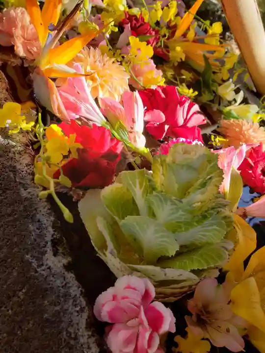 鳩森八幡神社の手水舎