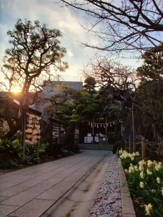 鳩森八幡神社の庭園