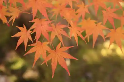 酬恩庵一休寺(京都府)