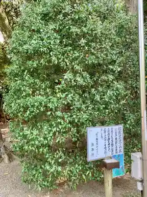 息栖神社(茨城県)