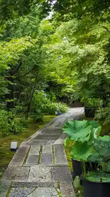 勝林寺(京都府)