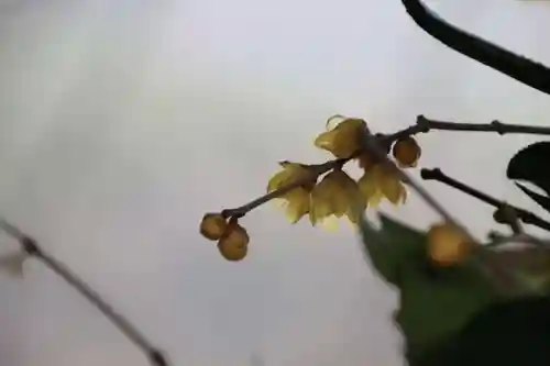 高司神社〜むすびの神の鎮まる社〜の手水