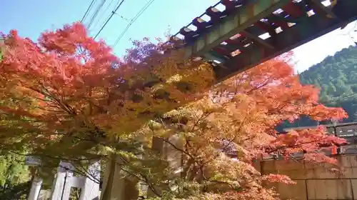 貴船神社の周辺