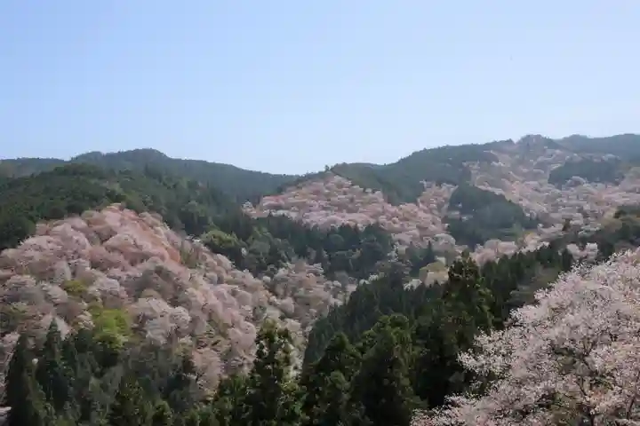𠮷水神社(吉水神社)の景色