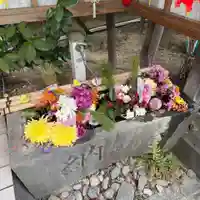 多賀神社(和歌山県)