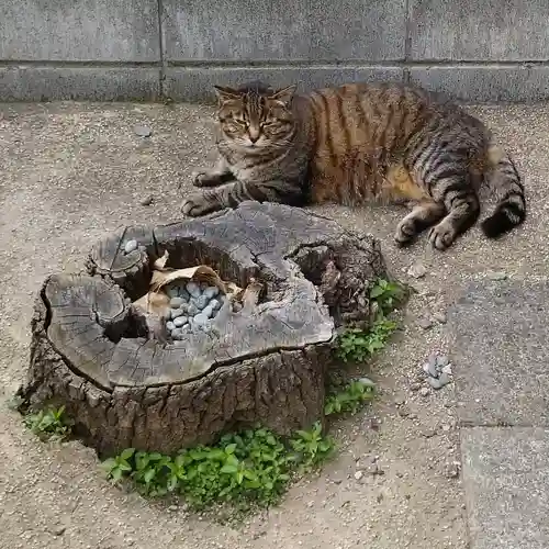 太田姫稲荷神社の動物