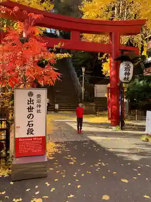 愛宕神社の鳥居