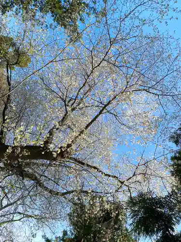 滋野神社の自然