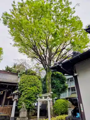 砧三峯神社(東京都)