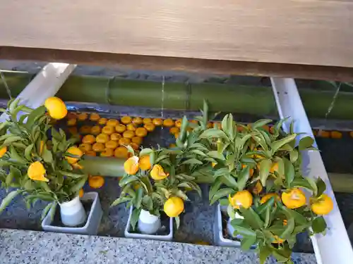 進雄神社の手水舎