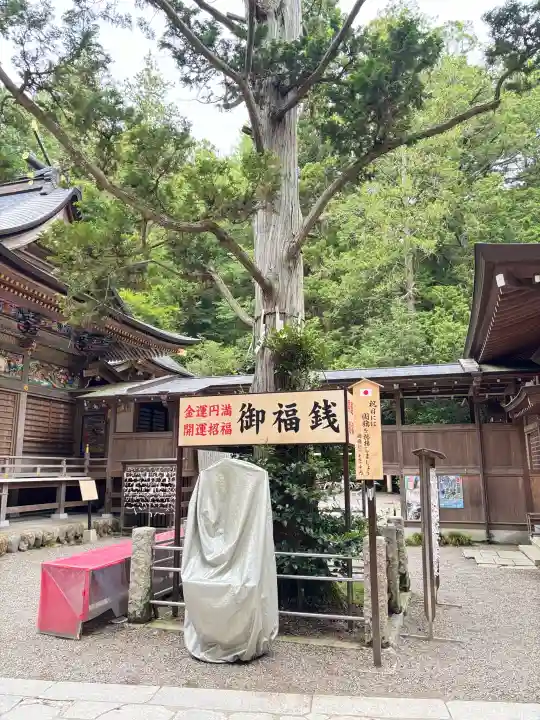 宝登山神社(埼玉県)