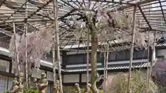 頂法寺（六角堂）の庭園