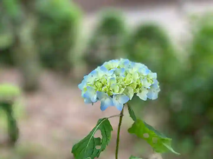 仁科神社(長野県)