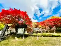 土津神社|こどもと出世の神さまの自然