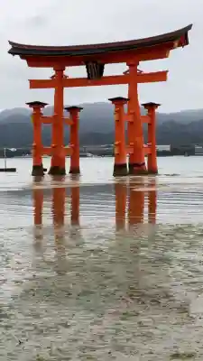 厳島神社の{uncategorized: "未分類", other: "その他", undefined: "問題あり", building: "その他建物", grave: "お墓", sacred_gate: "鳥居", guardian: "狛犬", statue: "像", buddha: "仏像", history: "歴史", nature: "自然", garden: "庭園", animal: "動物", pagoda: "塔", temizu: "手水舎", mountain_gate: "山門・神門", sanctuary: "本殿・本堂", subordinate: "末社・摂社", art: "芸術", scenery: "景色", jizo: "地蔵", ema: "絵馬", goshuin: "御朱印", omikuji: "おみくじ", items: "授与品その他", amulet: "お守り", goshuincho: "御朱印帳", eats: "食事", festival: "お祭り", votive_dance: "神楽", shichigosan: "七五三参", wedding: "結婚式", experience: "体験その他", initially: "初詣", around: "周辺", anti_infection: "感染症対策"}