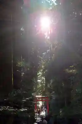 箱根神社(神奈川県)