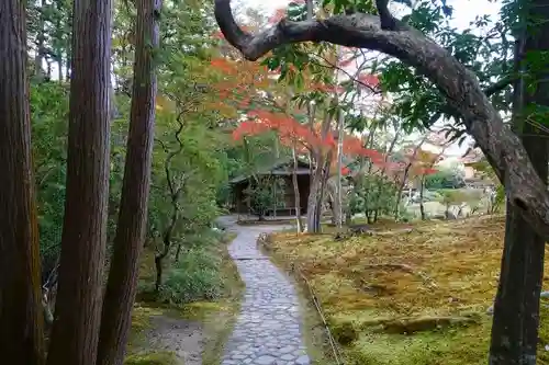 興福寺の庭園