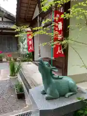 法音院の狛犬