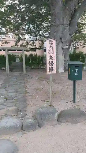 熊野神社の自然