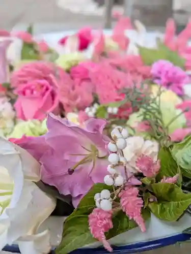 鳩森八幡神社(東京都)