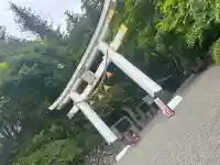 宝登山神社(埼玉県)