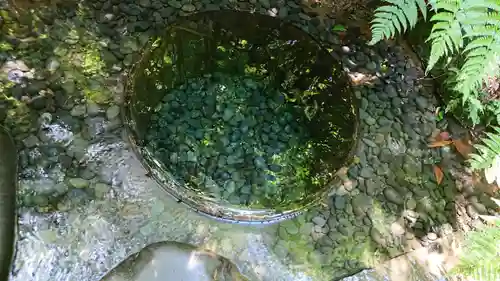 明治神宮のその他建物