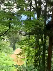 中之嶽神社(群馬県)