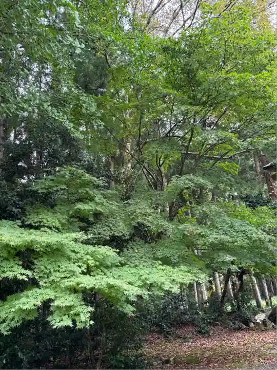 青龍寺(新潟県)