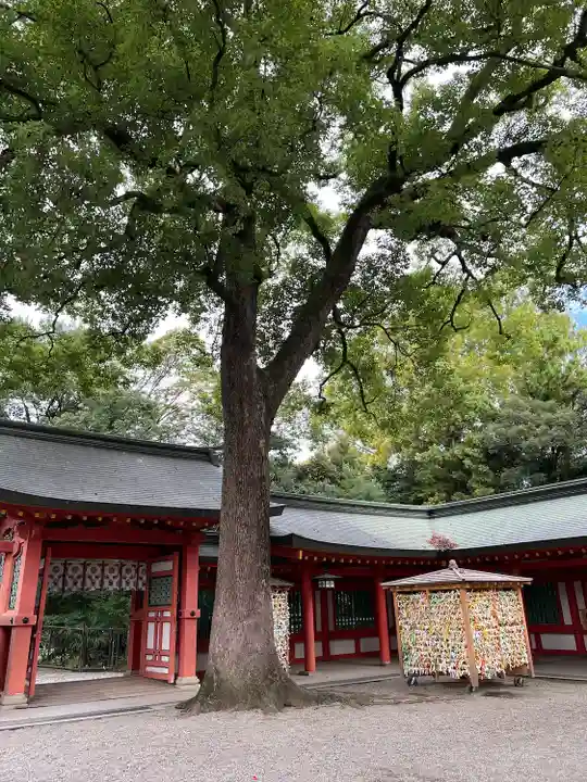武蔵一宮氷川神社(埼玉県)