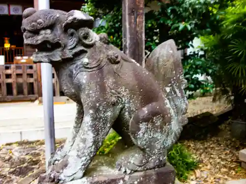 新羽杉山神社の狛犬