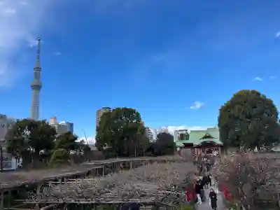 亀戸天神社(東京都)