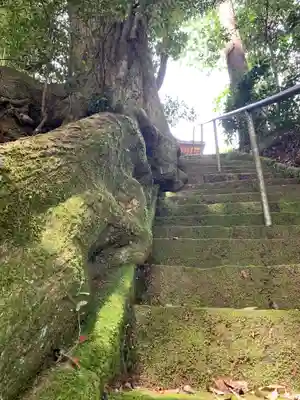 諏訪神社の自然