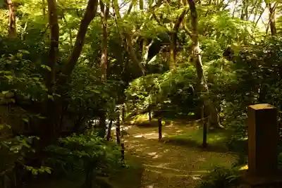 祇王寺(京都府)