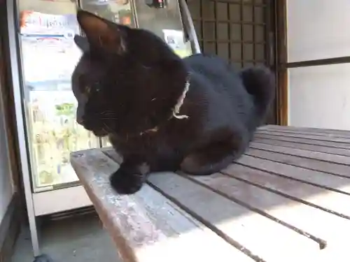 御誕生寺（猫寺）(福井県)