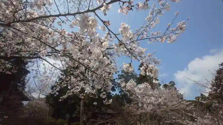 園城寺(三井寺)(滋賀県)