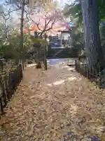 安國論寺(安国論寺)のその他建物