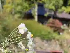 菱野健功神社の自然