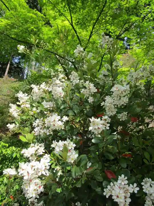三室戸寺(京都府)