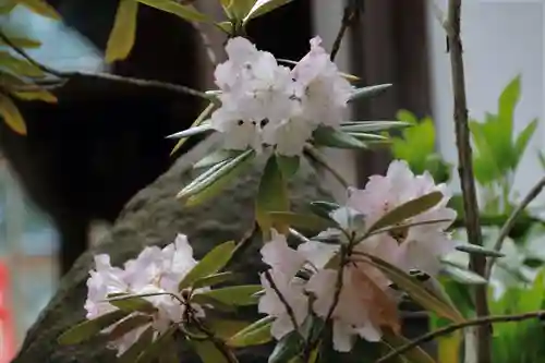 阿邪訶根神社の自然