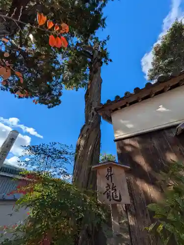 御坂神社(兵庫県)
