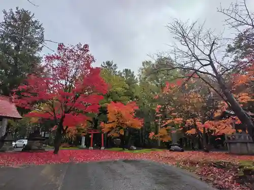 鷹栖神社の自然