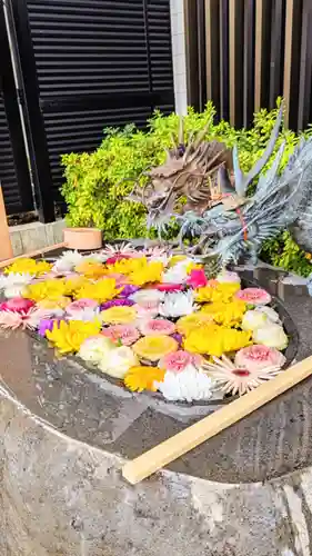 駒込妙義神社の手水舎