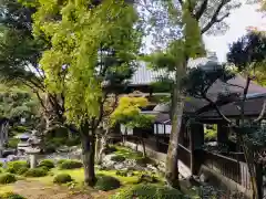 金剛寺(大阪府)