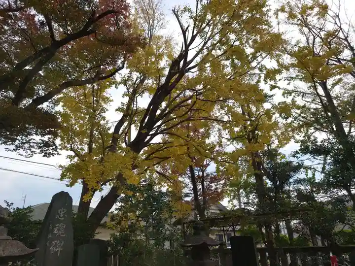 蘇我比咩神社の自然
