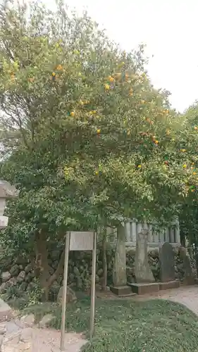 出雲伊波比神社の自然