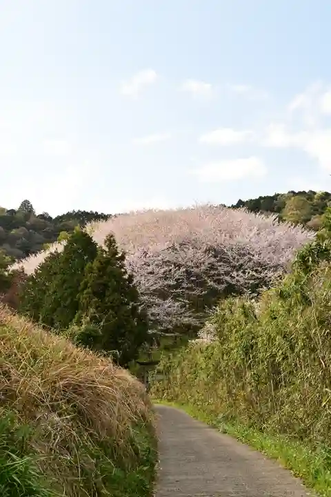 熊野神社(愛媛県)